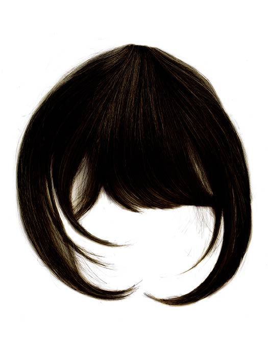 Clip-In Bangs by Hairdo - Regal Wigs